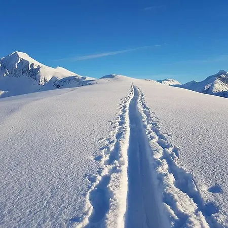 Kavli - Isfjorden. Isfjorden