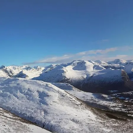 Kavli - Isfjorden. *