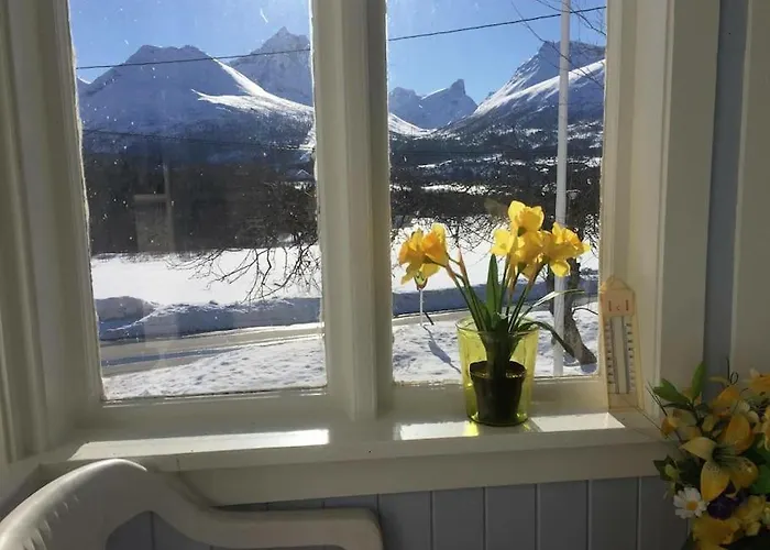 Vakantiehuis Kavli - Isfjorden. Isfjorden